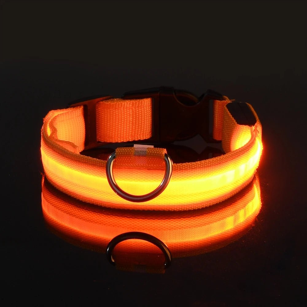 Correa LED para Perros con Luz Nocturna — Nailon Resistente