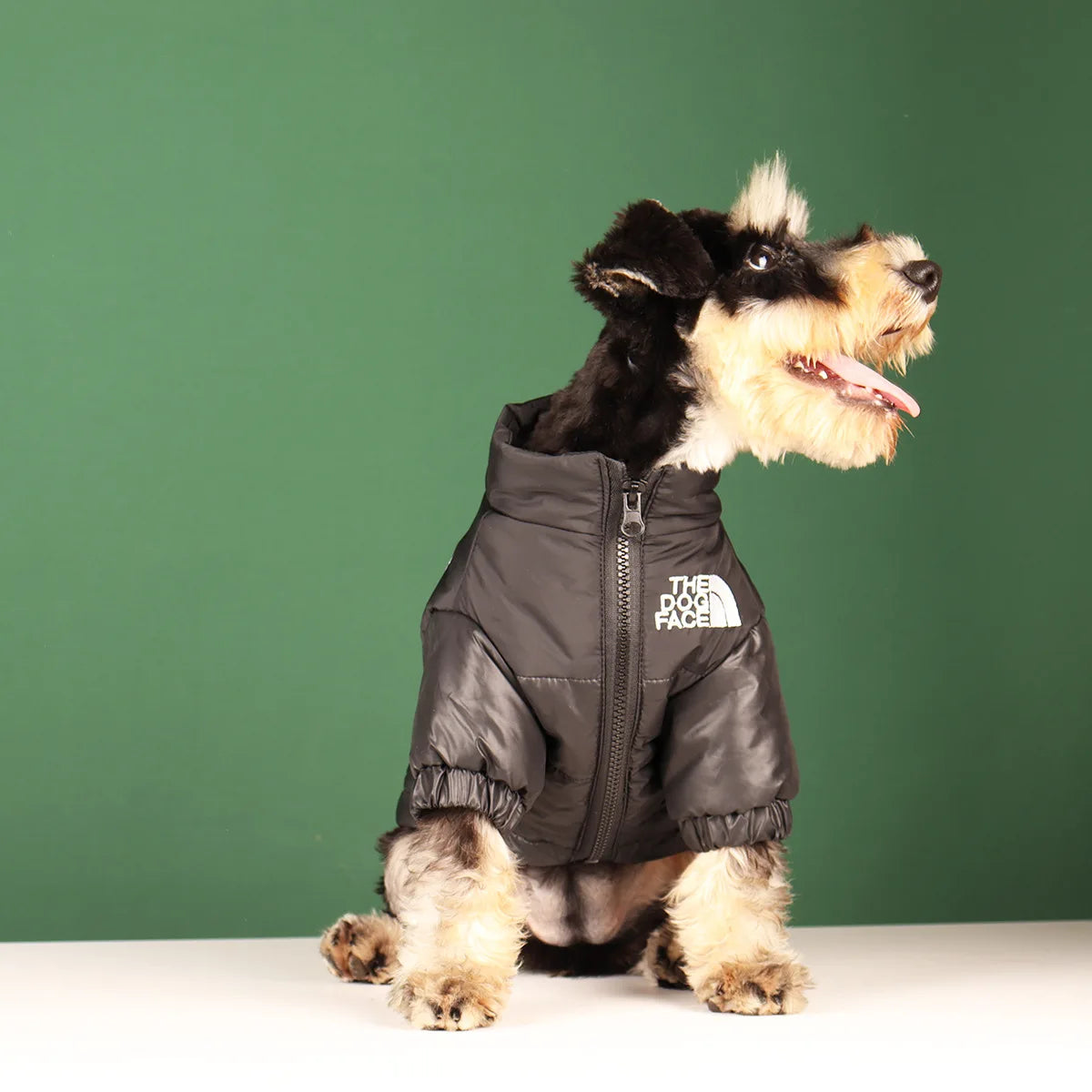 Campera de Abrigo para Perros - Cálida y Reflectante, Tallas XS a 3XL