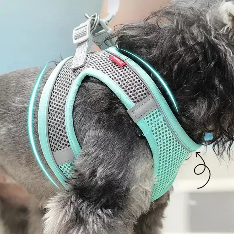 Arnés Chaleco Ajustable para Perros y Gatos con Correa Reflectante