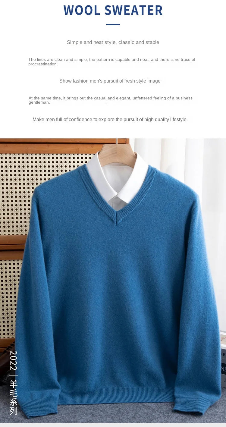 2025 suéter 100% de lana merina de Cachemira con cuello en V para hombre, jersey inteligente informal básico de manga larga, prendas de punto, Tops para Otoño e Invierno