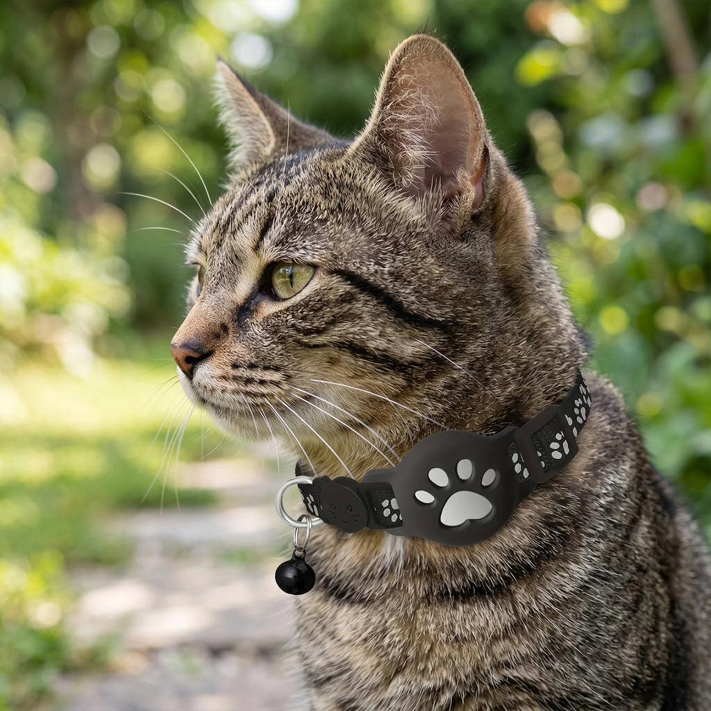Collar Rastreador GPS para Mascotas Impermeable con App iOS y Android