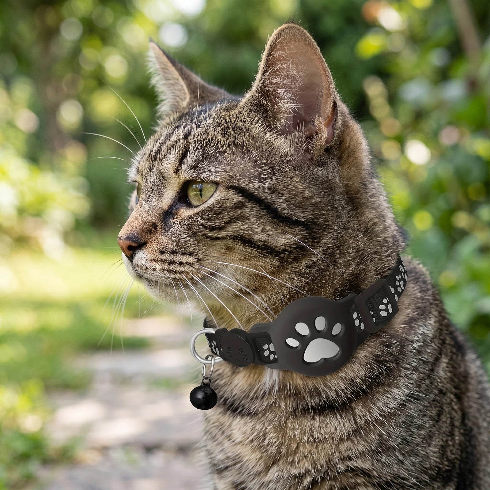 Collar Rastreador GPS para Mascotas Impermeable con App iOS y Android