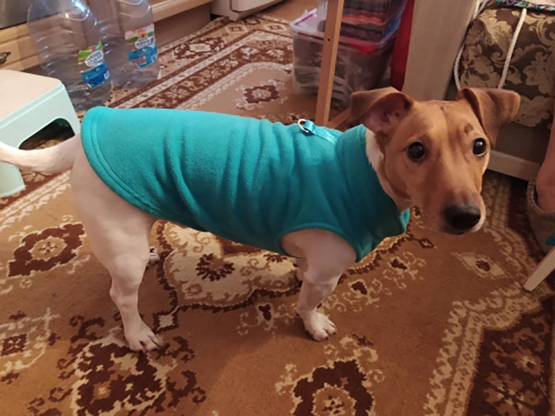 Chaleco de Lana para Perros y Gatos - Abrigo Cálido con Anillo en D
