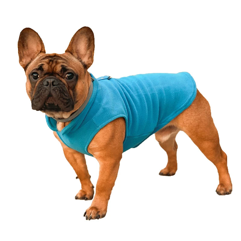 Chaleco de Lana para Perros y Gatos - Abrigo Cálido con Anillo en D