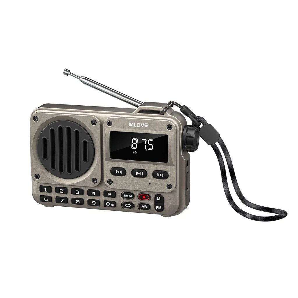 MLOVE BV800P Altavoz Bluetooth portátil con radio FM, reproductor de MP3, tarjeta USB/TF, AUX y antena: audio todo en uno para llevar