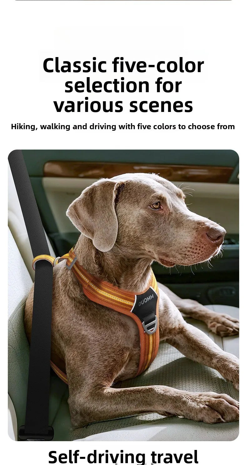 Arnés Antitirones para Perro con Chaleco Reflectante Ajustable