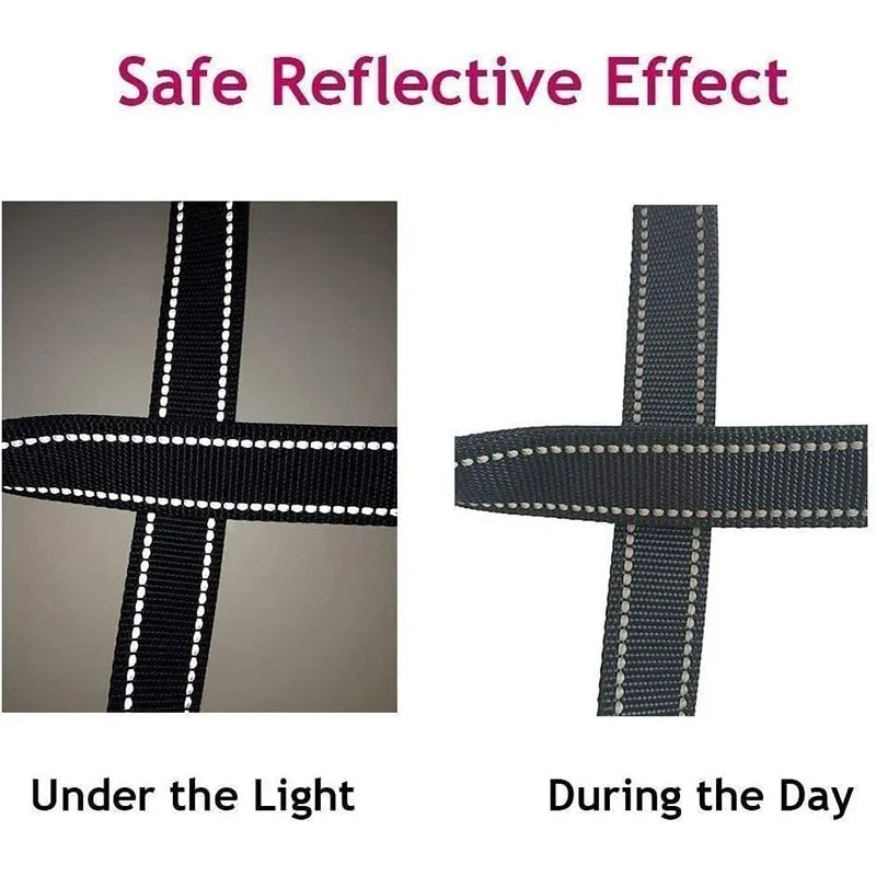 Correa Reflectante para Perros y Gatos con Franja Nocturna