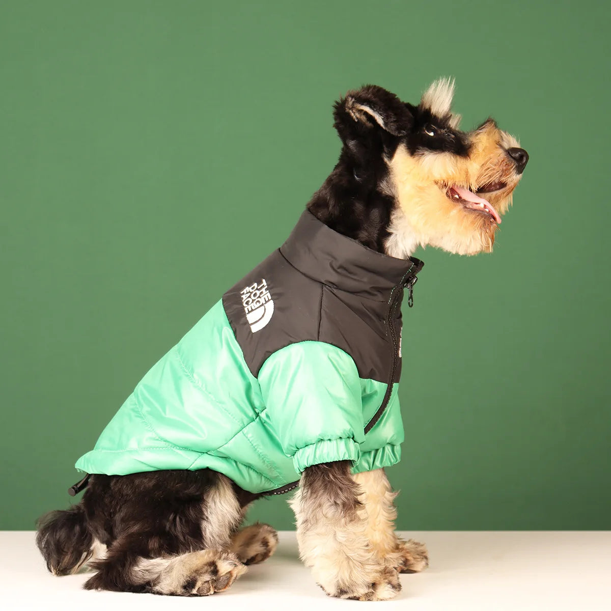 Campera de Abrigo para Perros - Cálida y Reflectante, Tallas XS a 3XL