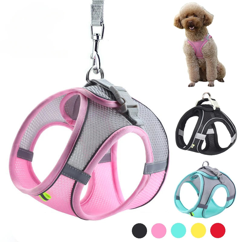 Arnés Chaleco Ajustable para Perros y Gatos con Correa Reflectante