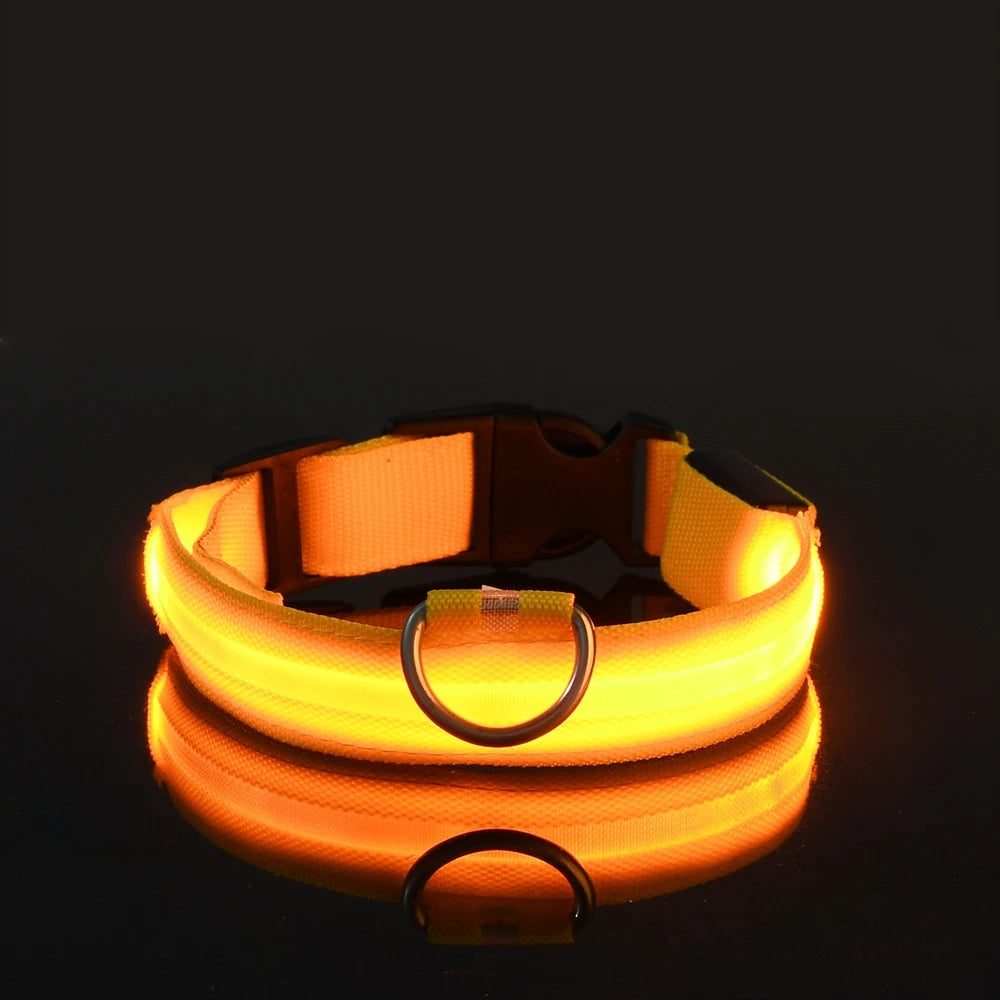Correa LED para Perros con Luz Nocturna — Nailon Resistente