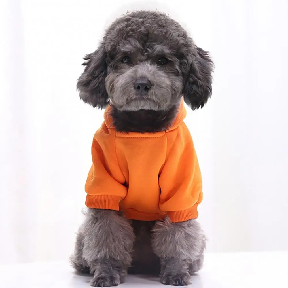 Buzo con Capucha para Perro - Abrigo de Algodón para Mascotas
