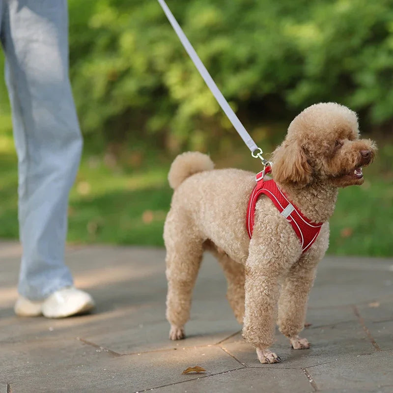 Arnés Chaleco Ajustable para Perros y Gatos con Correa Reflectante