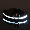 Correa LED para Perros con Luz Nocturna — Nailon Resistente