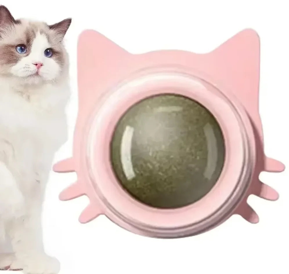 Juguetes de hierba gatera para gatos, bola giratoria interactiva de pared para interiores, menta Natural, mejora la digestión, estimulante del apetito, cuidado Dental para gatos