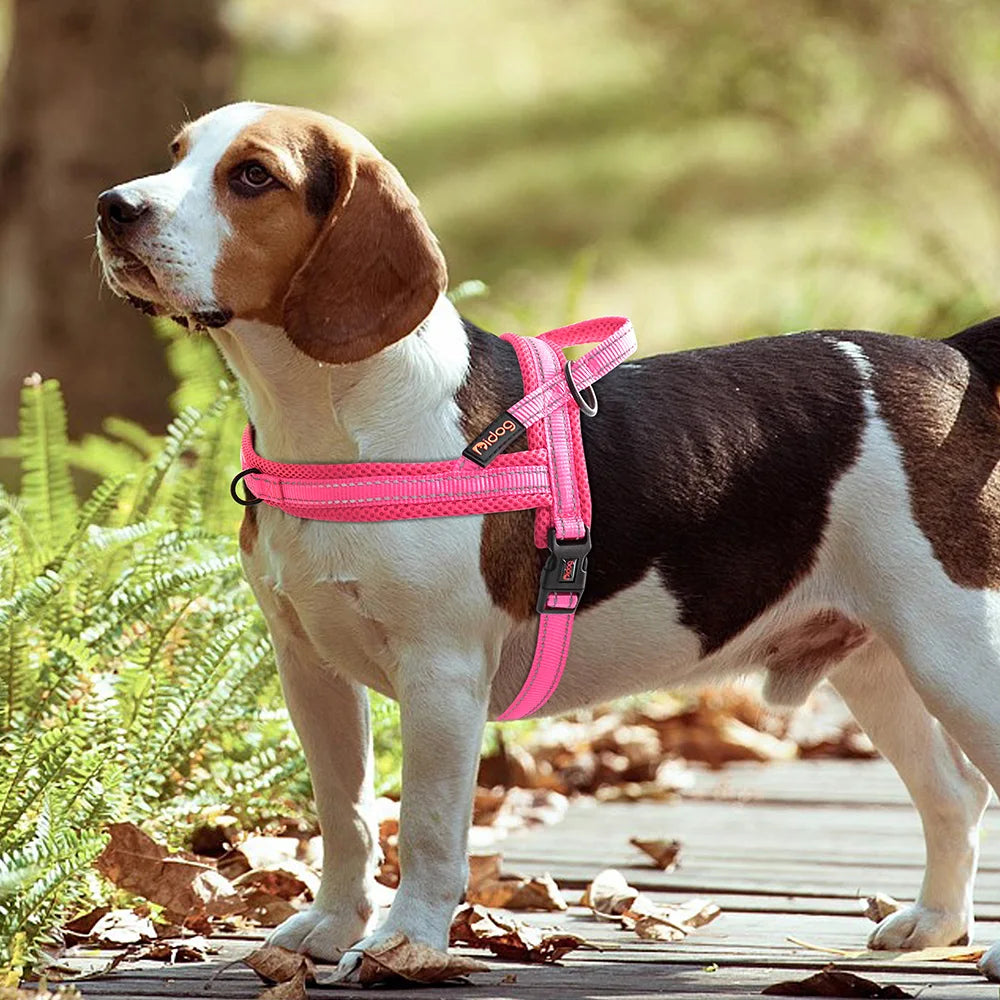 Chaleco Arnés Térmico para Perros – Acolchado y Ajustable