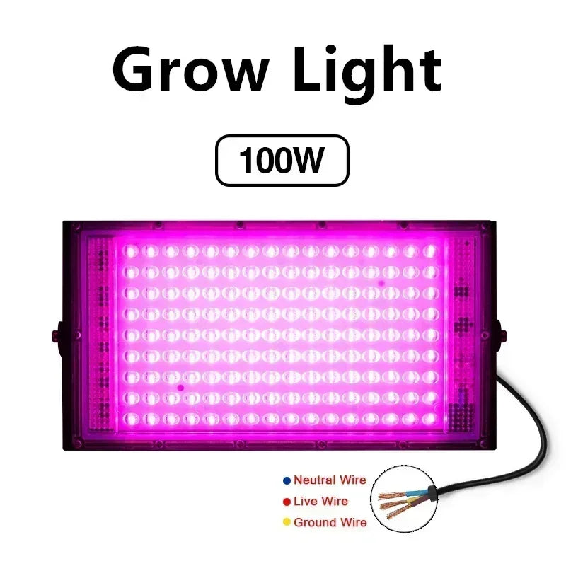 Reflector LED 50W 100W IP65 Impermeable para Interior y Exterior