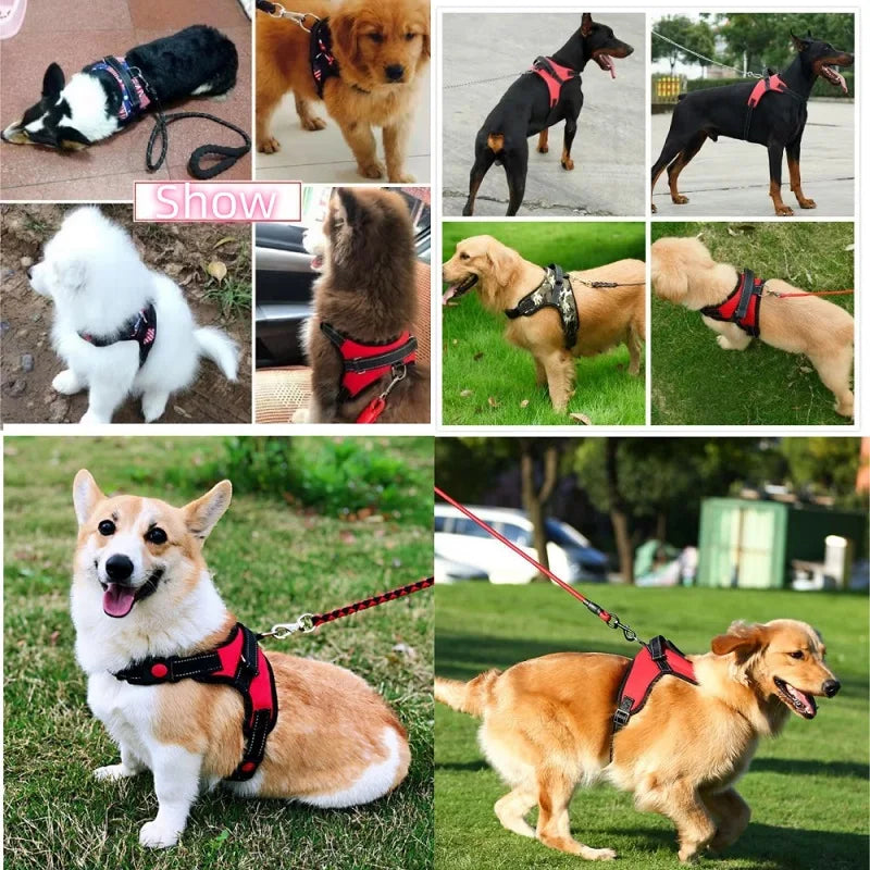 Arnés Chaleco para Perros — Reflectante, Nailon, Todas las Tallas