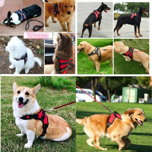 Arnés Chaleco para Perros — Reflectante, Nailon, Todas las Tallas
