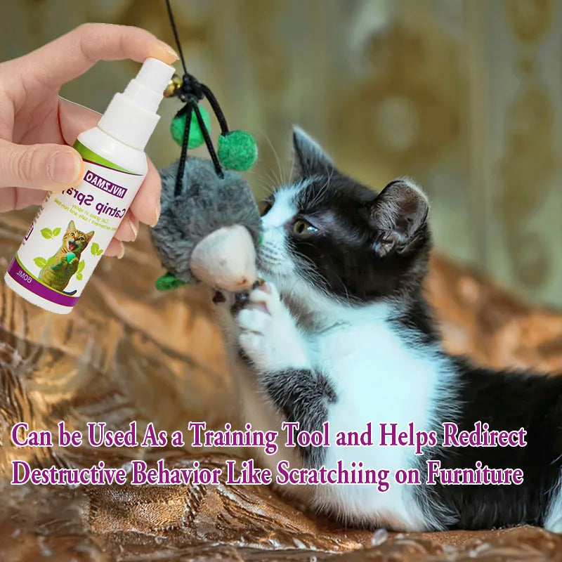 Spray de hierba gatera para gatos, spray para rascar gatos para aumentar el juego, calma el estrés y rinovar juguetes, spray de comportamiento transparente para gatos y gatitos, 60 ml