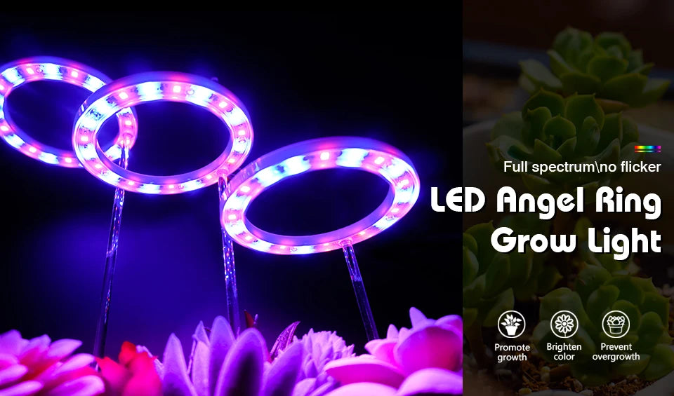 Anillo de Ángel LED para cultivo de luz, fitoamplificador USB de 5V CC para plantas, lámparas de espectro completo para plantas de interior, plántulas de invernadero, flores para el hogar