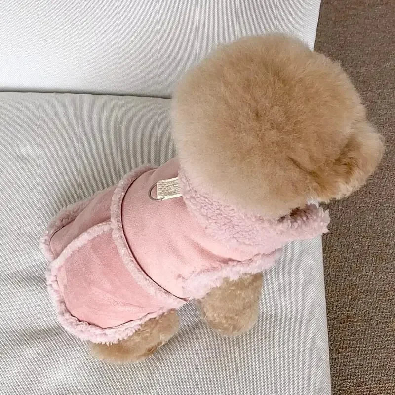 Chaleco de Abrigo para Perro - Ropa de Otoño e Invierno