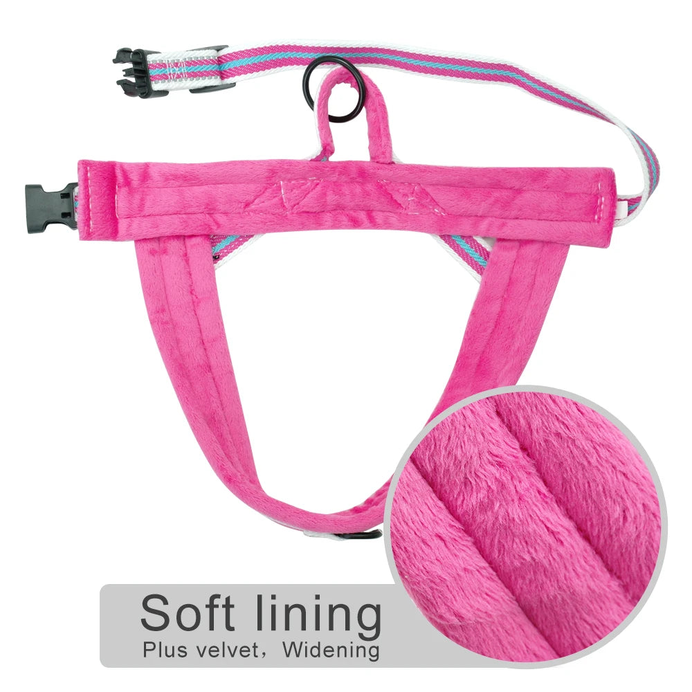 Chaleco Arnés Térmico para Perros – Acolchado y Ajustable
