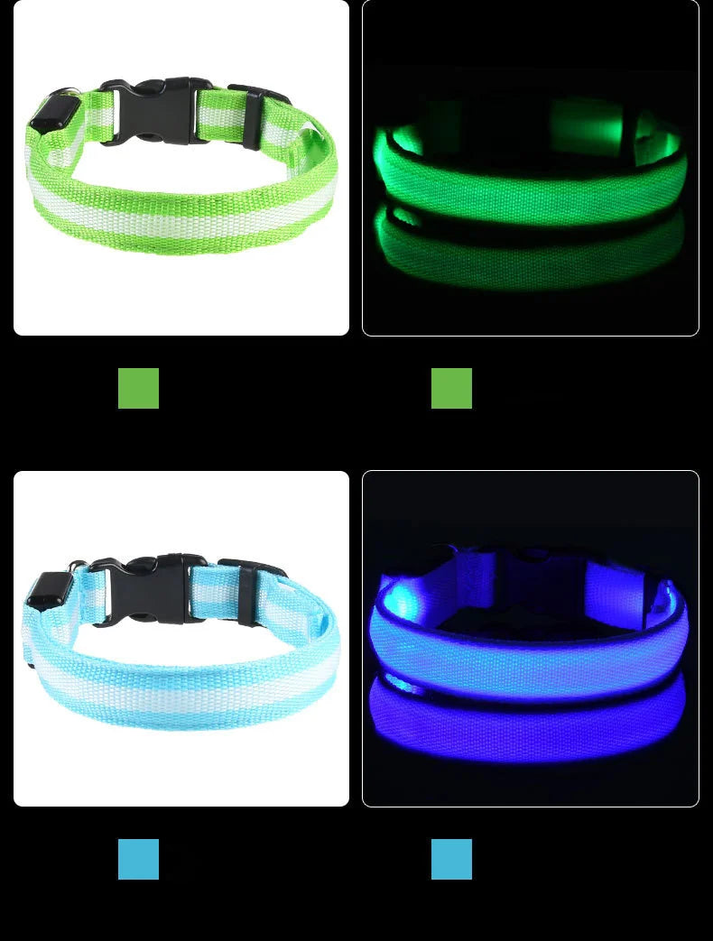 Correa LED para Perros con Luz Nocturna — Nailon Resistente