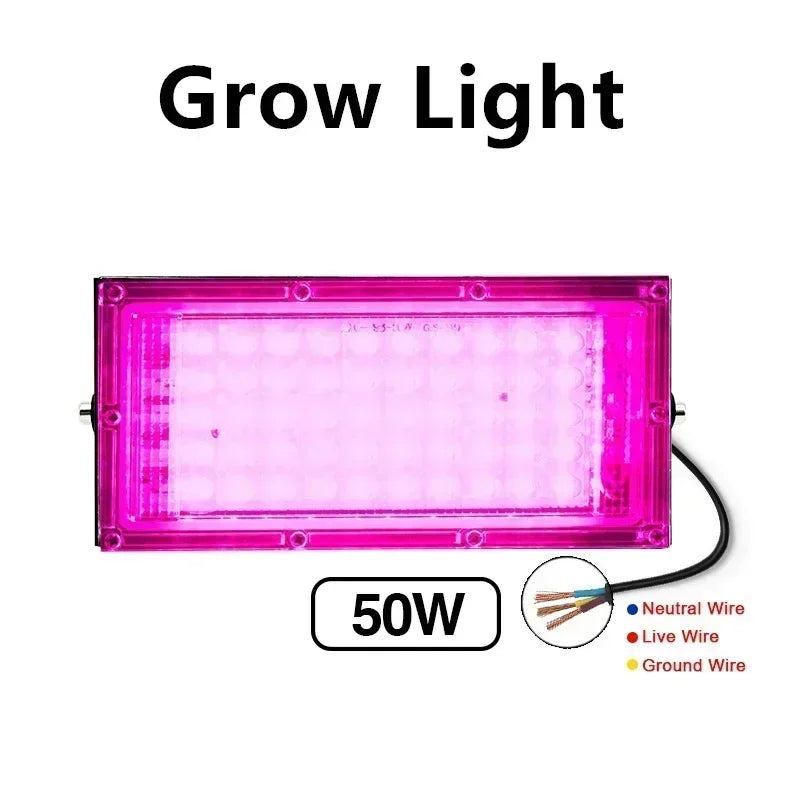 Reflector LED 50W 100W IP65 Impermeable para Interior y Exterior