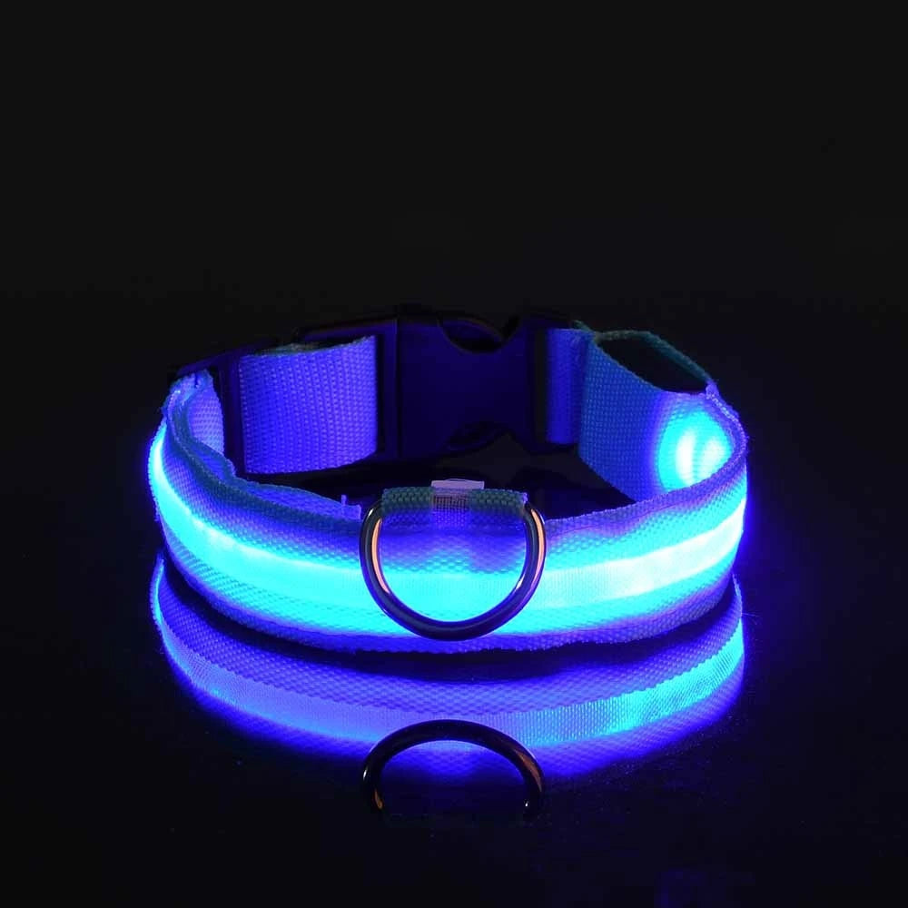 Correa LED para Perros con Luz Nocturna — Nailon Resistente