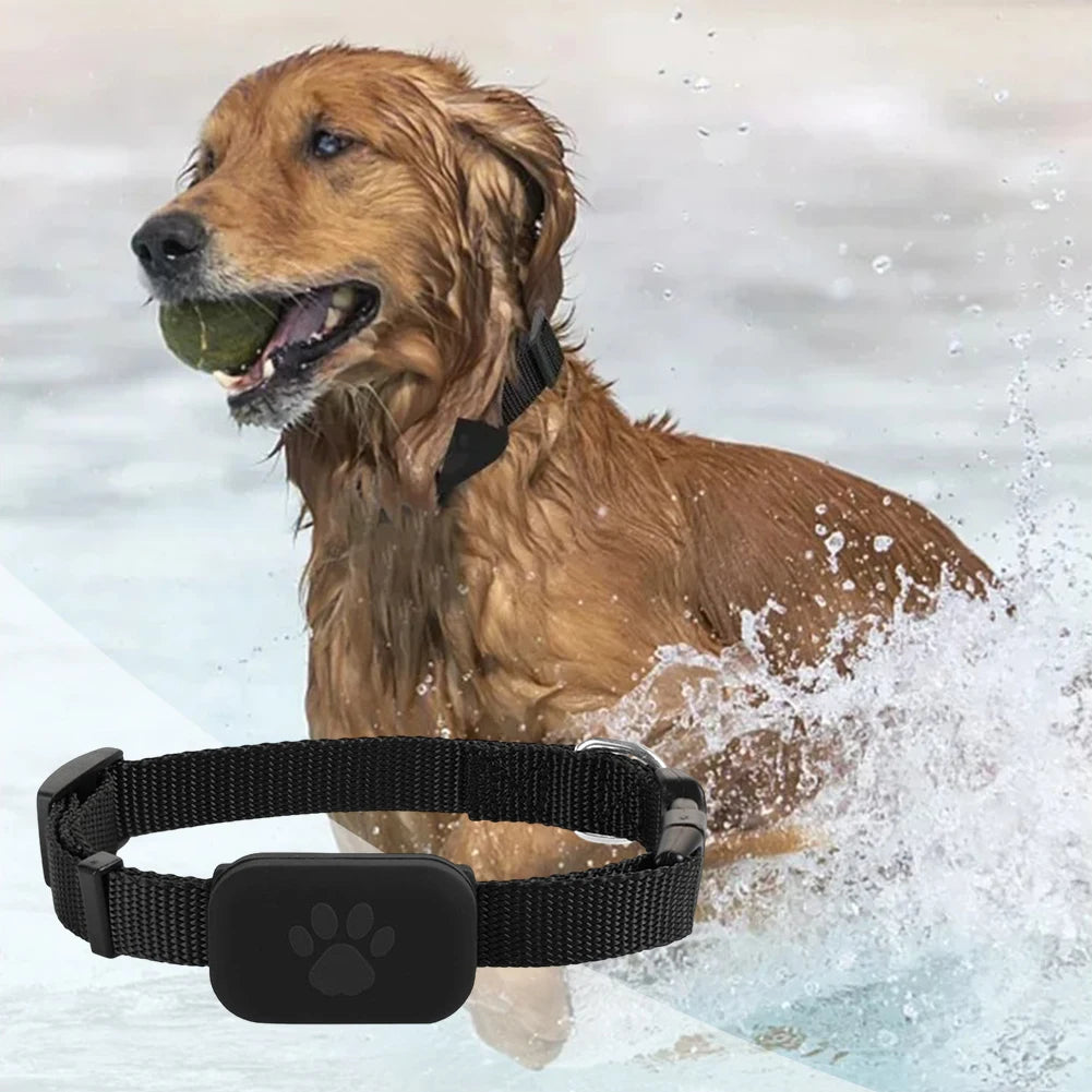 Rastreador GPS Inteligente para Mascotas, Niños, Equipaje y Llaves, Etiqueta de Posicionamiento Global, Rastreador GPS para Mascotas con Collar Ajustable, Localizador de Perros