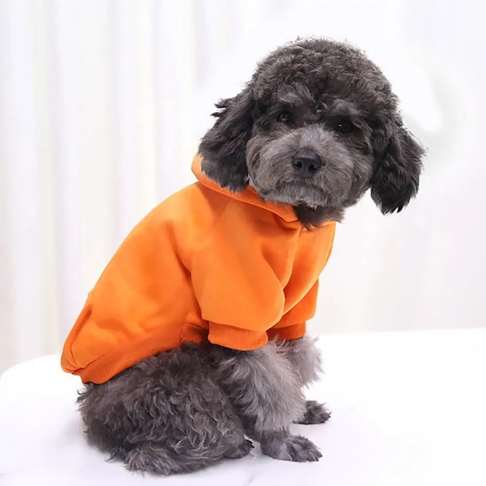 Buzo con Capucha para Perro - Abrigo de Algodón para Mascotas