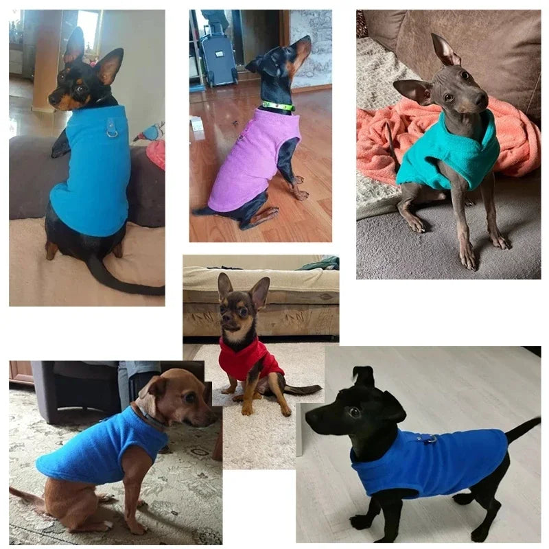 Chaleco de Lana para Perros y Gatos - Abrigo Cálido con Anillo en D