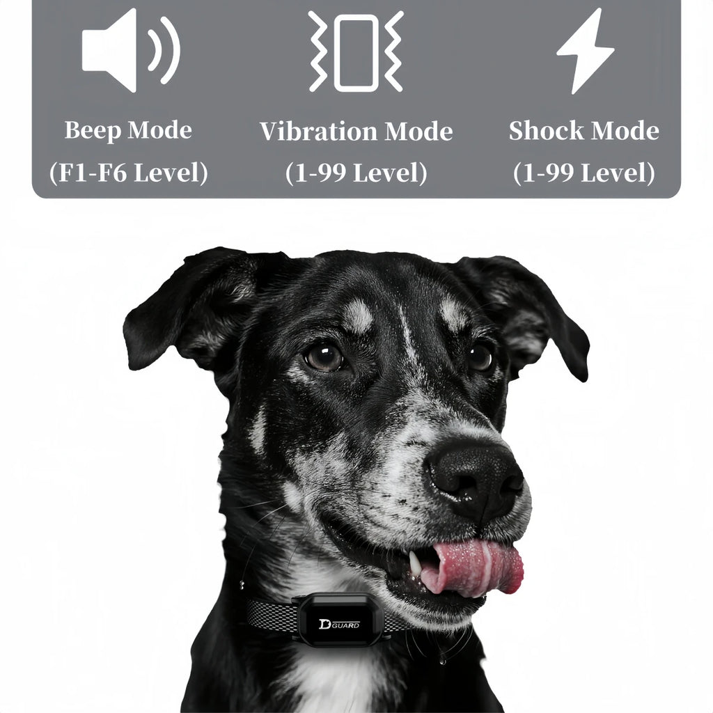 Collar de entrenamiento Digital para perros de 800m, resistente al agua, recargable, Control remoto, mascota con pantalla LCD para todos los tamaños, sonido de vibración de choque