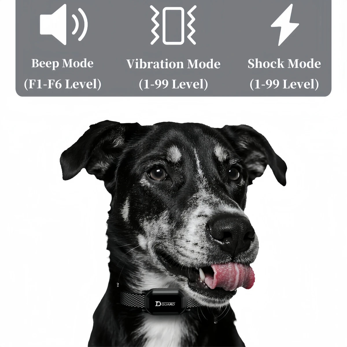 Collar de entrenamiento Digital para perros de 800m, resistente al agua, recargable, Control remoto, mascota con pantalla LCD para todos los tamaños, sonido de vibración de choque