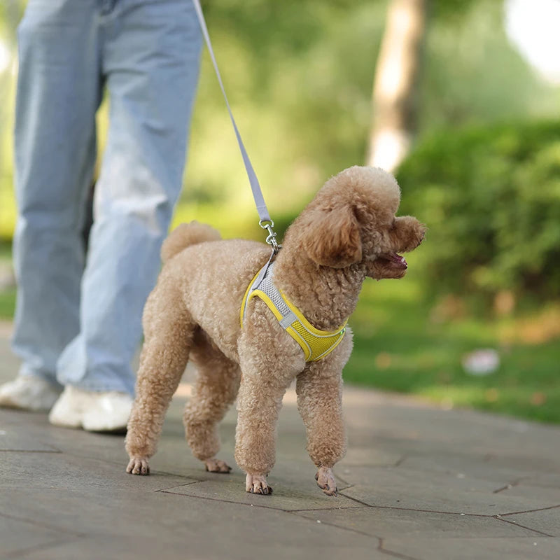 Arnés de Chaleco con Correa para Perros y Gatos - Malla Reflectante
