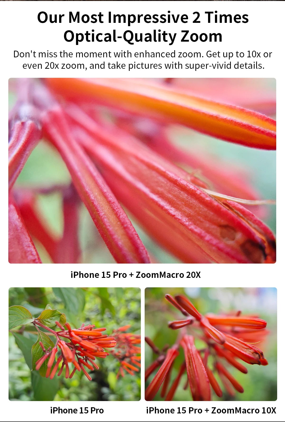 Lente Macro HD 10-20X para Teléfonos Inteligentes y Fotografía