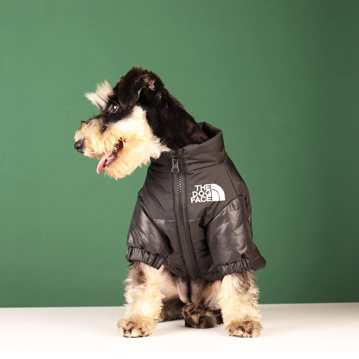 Campera de Abrigo para Perros - Cálida y Reflectante, Tallas XS a 3XL