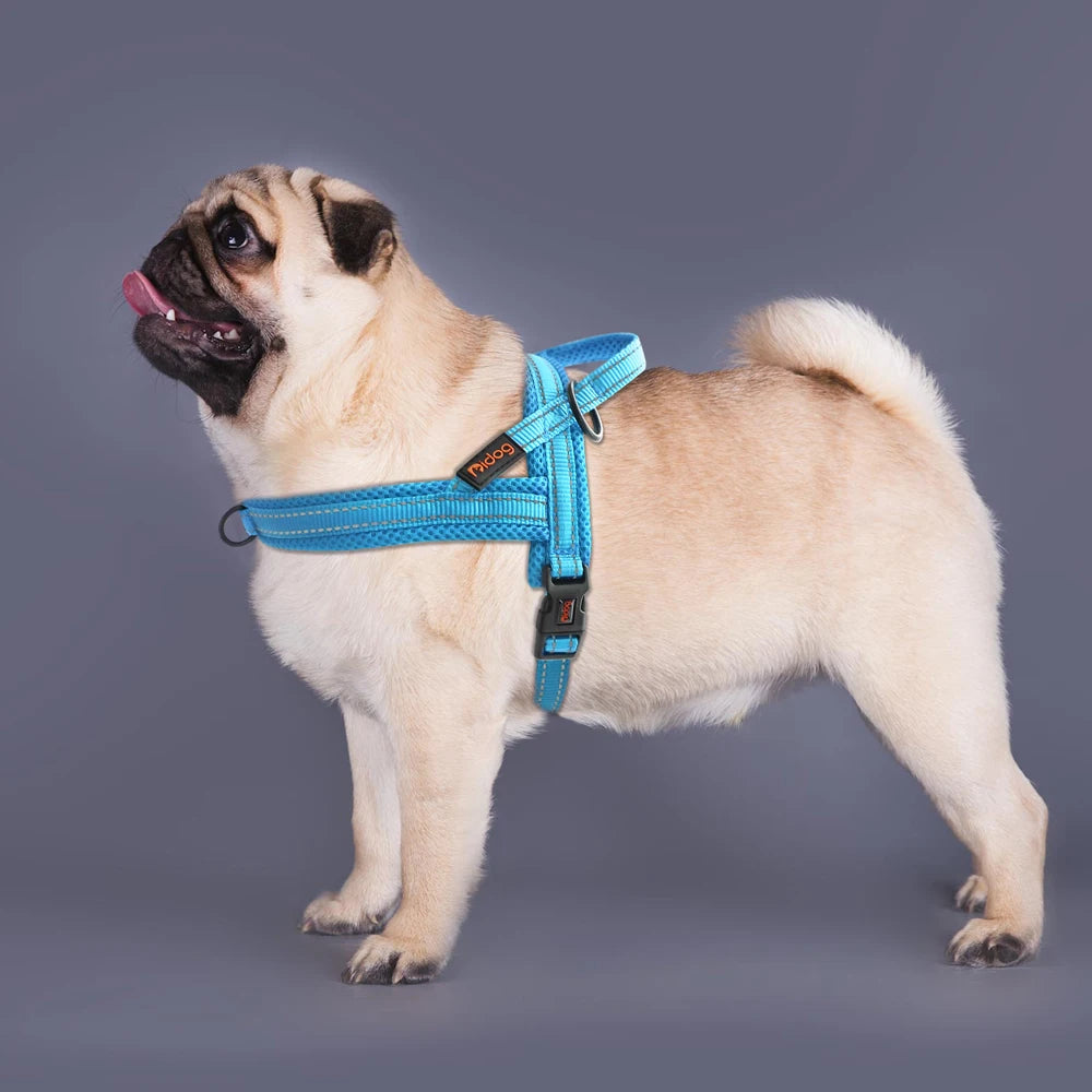 Chaleco Arnés Térmico para Perros – Acolchado y Ajustable
