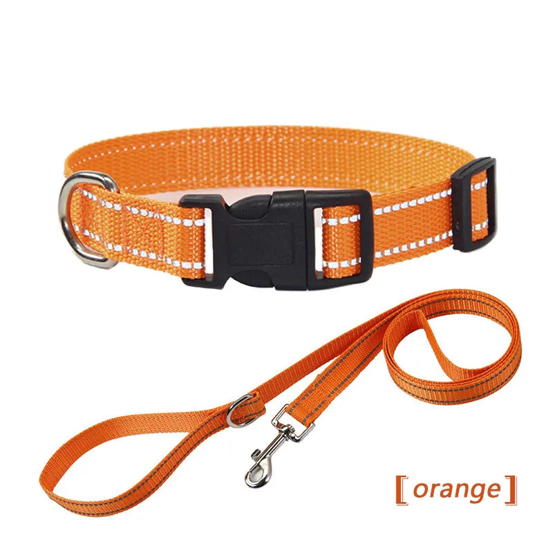 Correa Reflectante para Perros y Gatos con Arnés