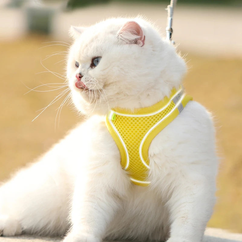 Arnés de Chaleco con Correa para Perros y Gatos - Malla Reflectante
