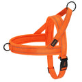Chaleco Arnés Térmico para Perros – Acolchado y Ajustable