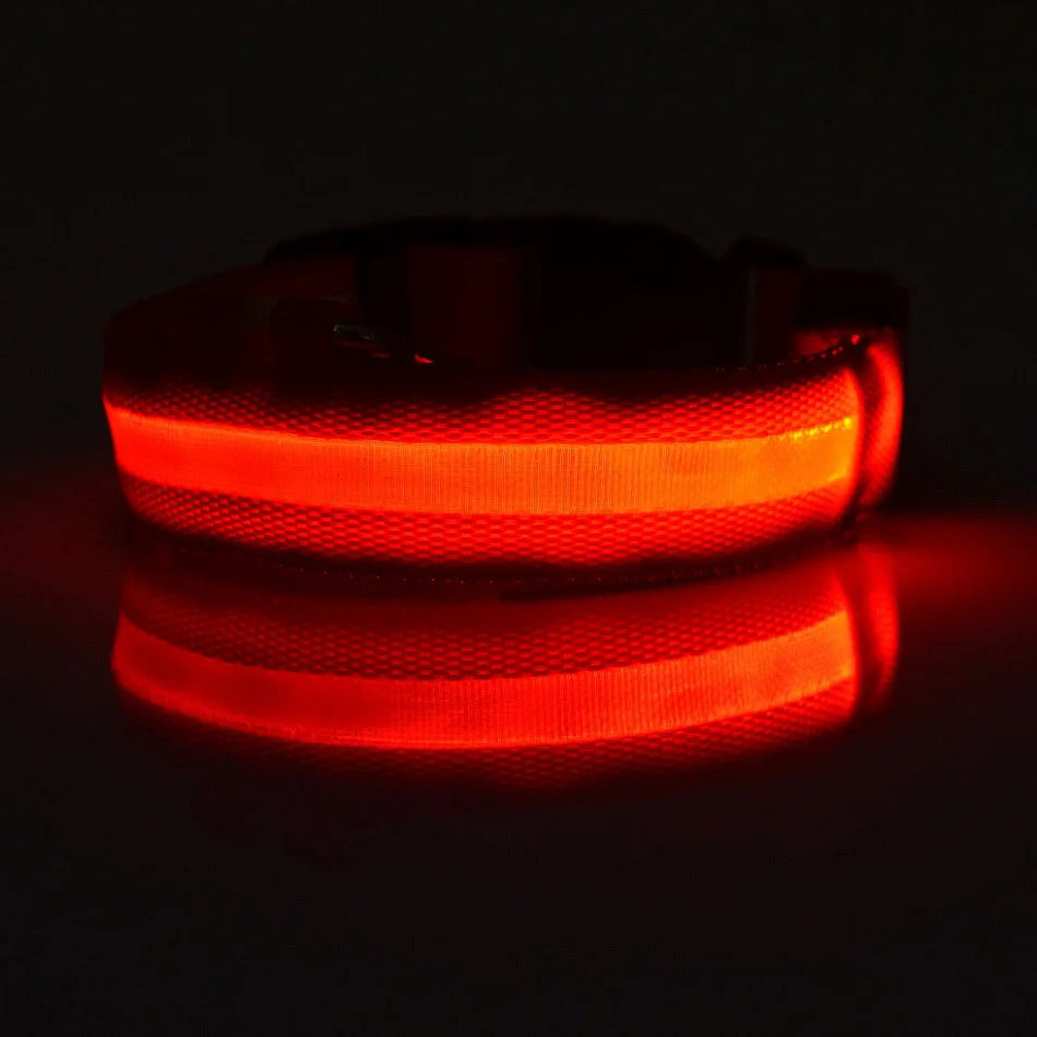 Correa LED para Perros con Luz Nocturna — Nailon Resistente