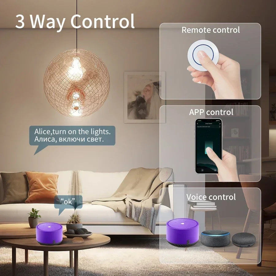 Interruptor Inteligente WiFi Tuya RF 16A Smart Life