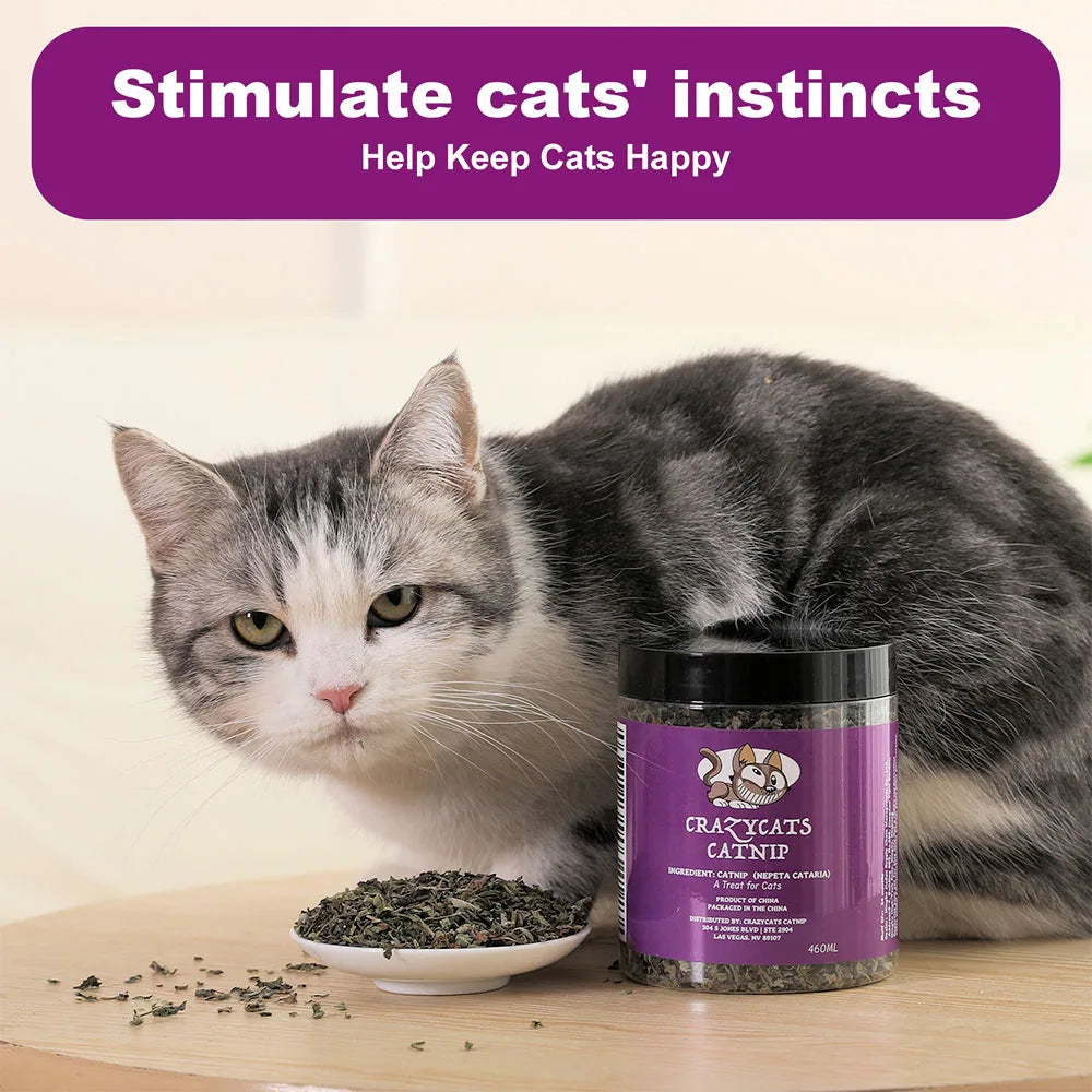 100% hierba gatera Natural y hierba gatera pura para su amigo peludo, juguete divertido para gatos, nuevo juguete interactivo para gatos, suministros para mascotas