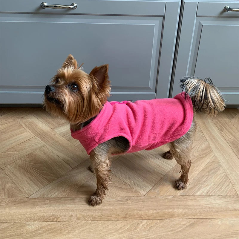Chaleco de Lana para Perros y Gatos - Abrigo Cálido con Anillo en D