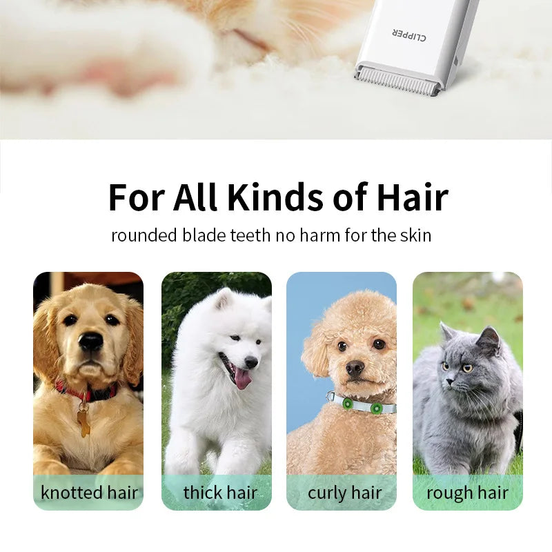 Cortadora de pelo para perros, cortadora de pelo eléctrica para mascotas, afeitadora de bajo ruido para perros y gatos, herramientas profesionales de aseo para mascotas recargables inalámbricas