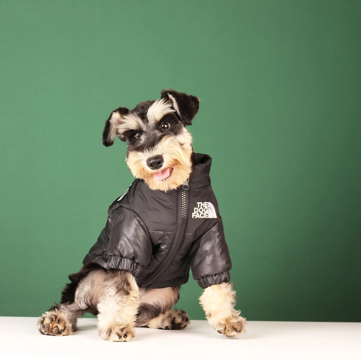 Campera de Abrigo para Perros - Cálida y Reflectante, Tallas XS a 3XL