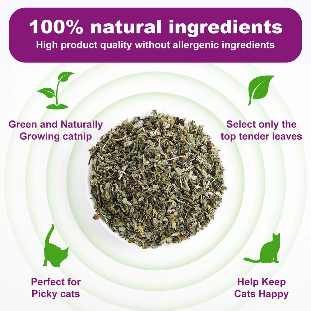 100% hierba gatera Natural y hierba gatera pura para su amigo peludo, juguete divertido para gatos, nuevo juguete interactivo para gatos, suministros para mascotas