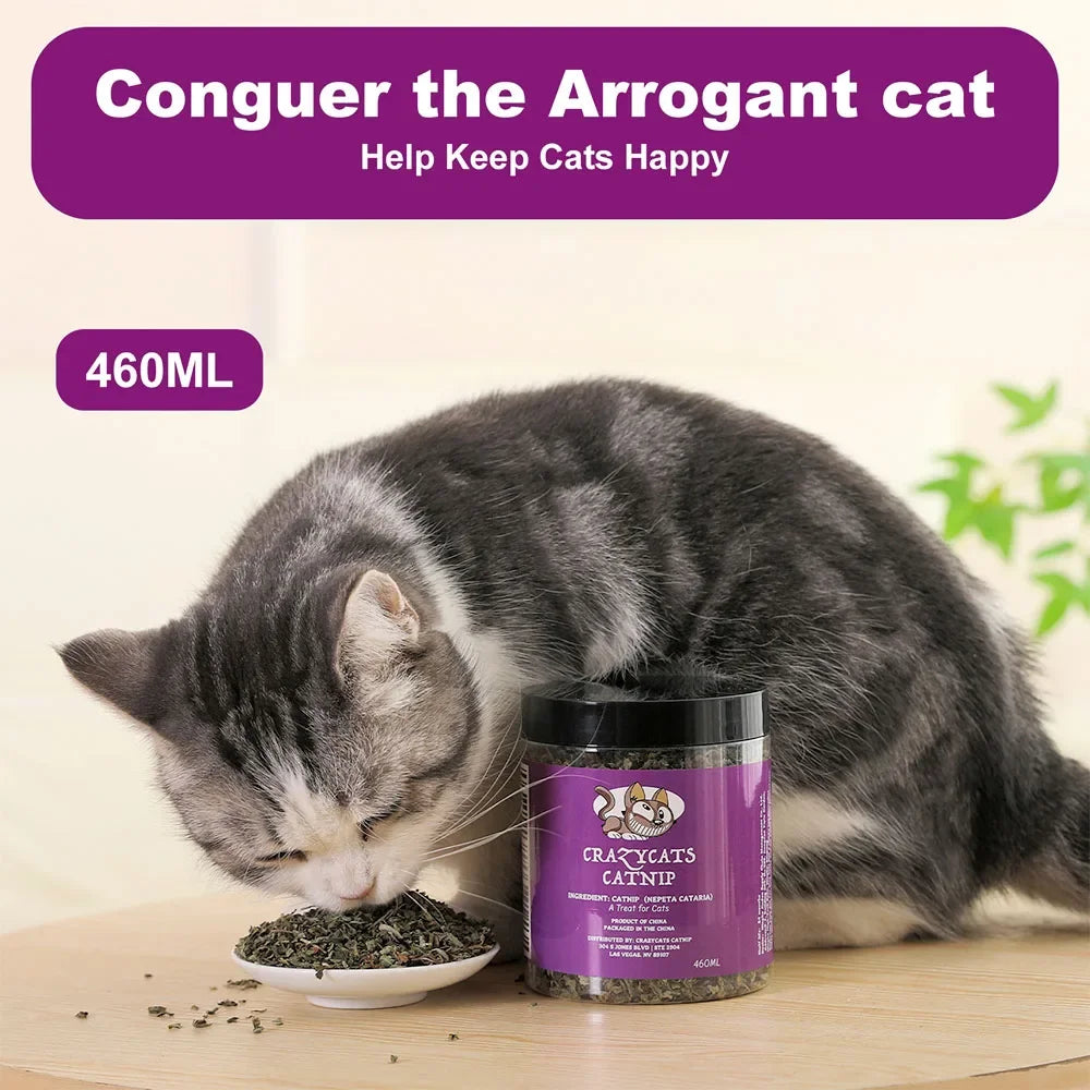 100% hierba gatera Natural y hierba gatera pura para su amigo peludo, juguete divertido para gatos, nuevo juguete interactivo para gatos, suministros para mascotas