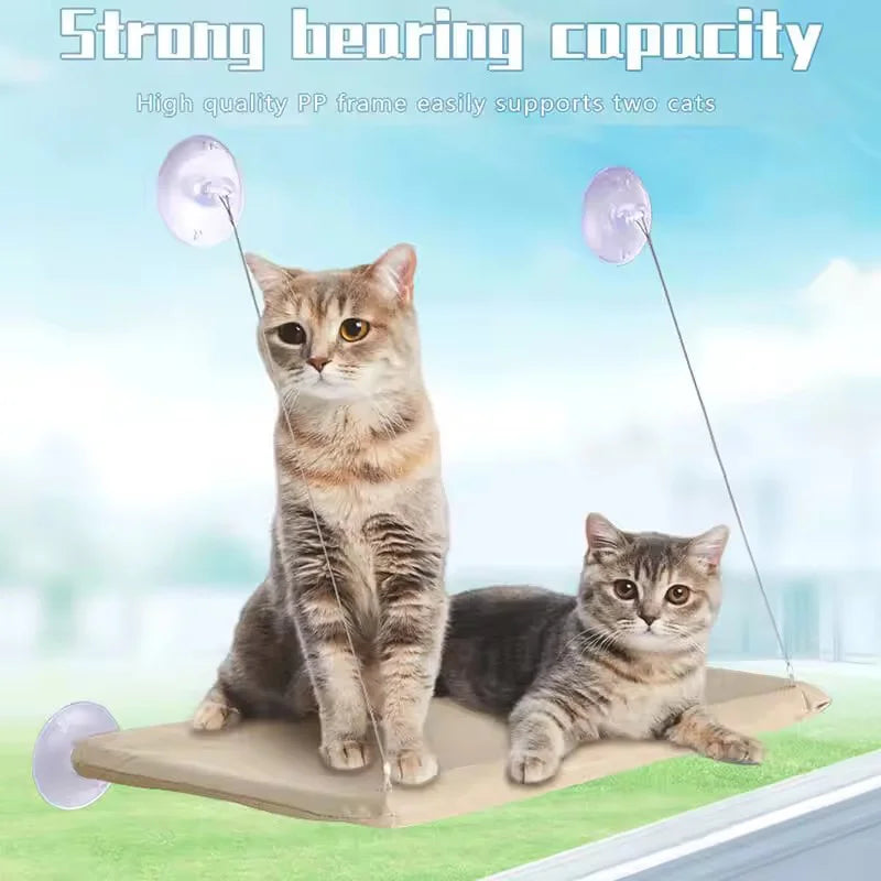 Hamaca Colgante para Gatos con Ventosa — Cama de Ventana